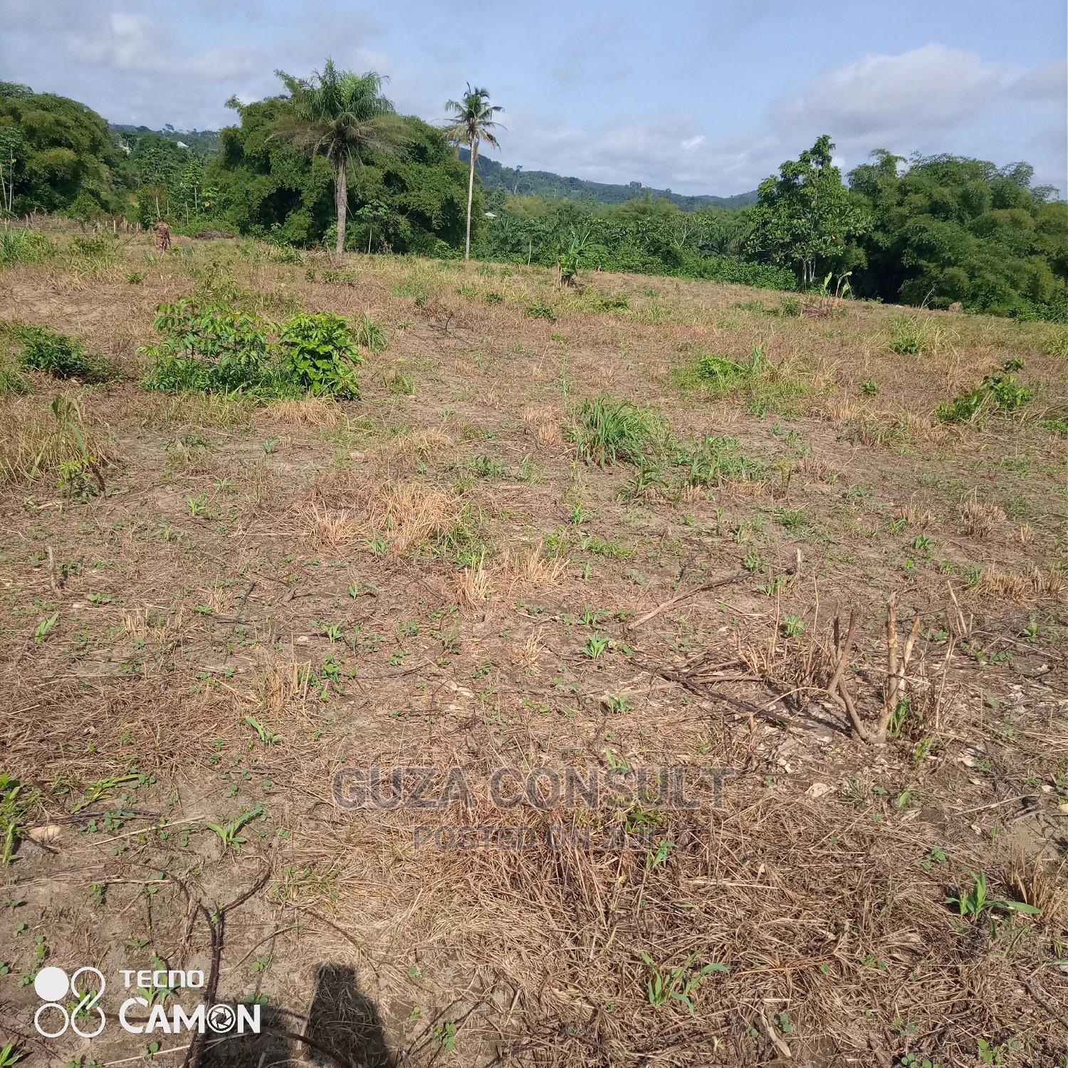 Vast Land For Sale in Kwahu Afram Plains North Land & Plots for Sale