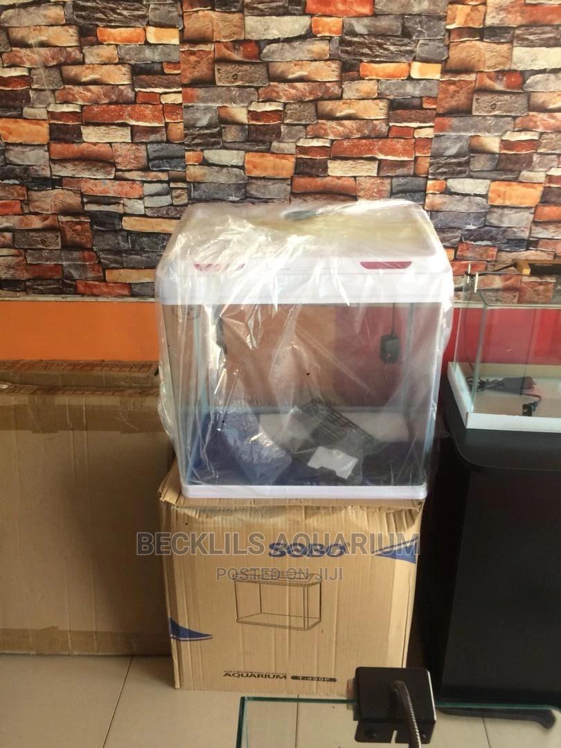 Aquarium’S in Accra Metropolitan Fish, Becca Bruce