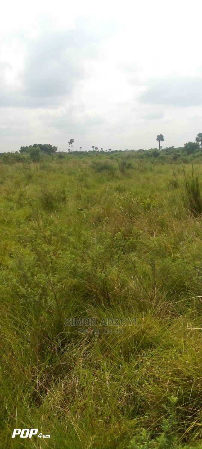 Farm Land for Long Lease in Akuapim South Land & Plots for Rent, Simon Adzoyi