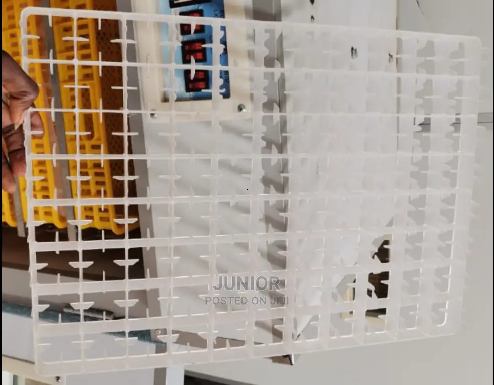 88 Egg Capacity Plastic Egg Crates in Accra Metropolitan Farm