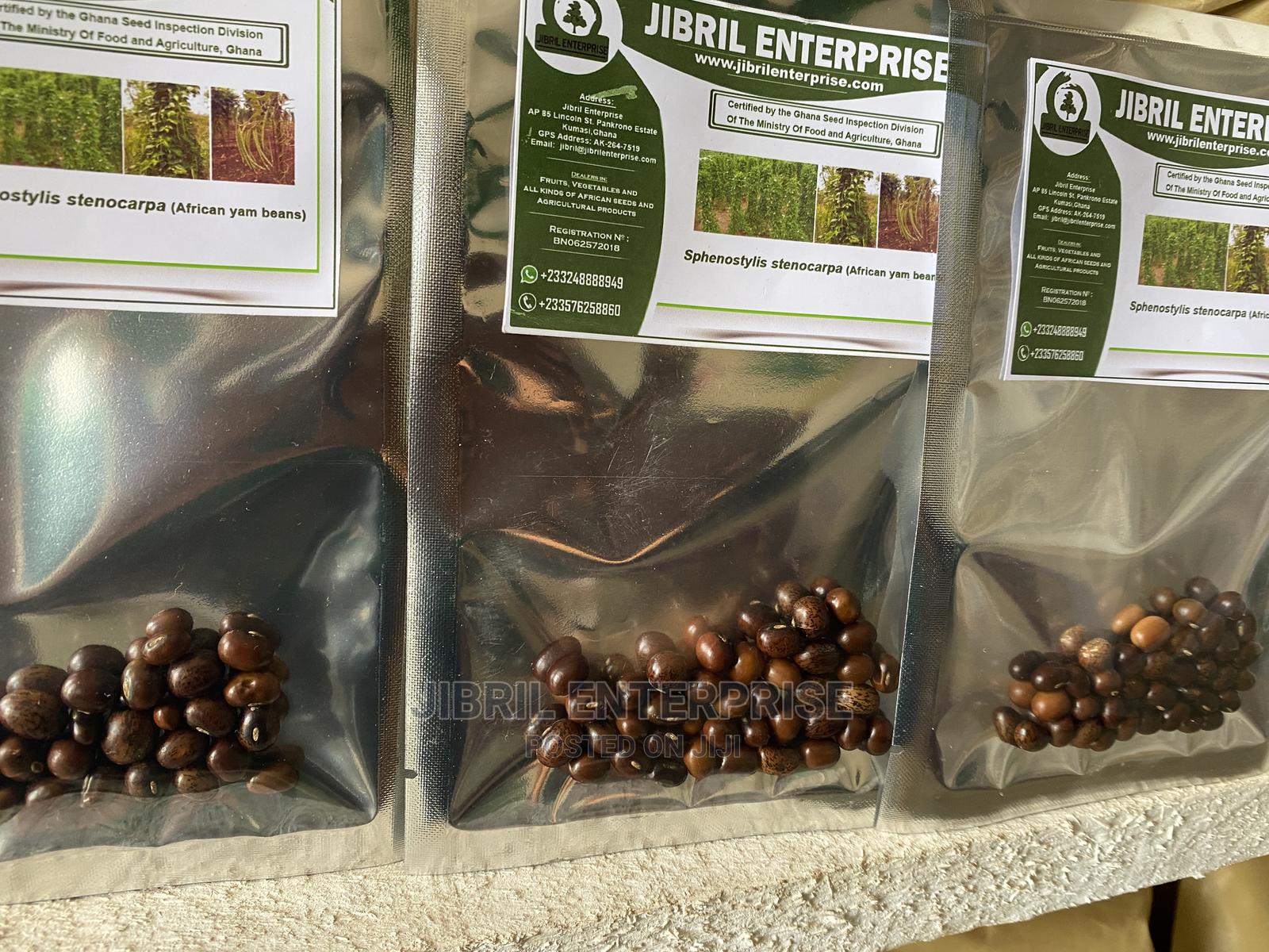 African Yam Beans(Sphenostylis Stenocarpa) in Kumasi Metropolitan Feeds, Supplements & Seeds