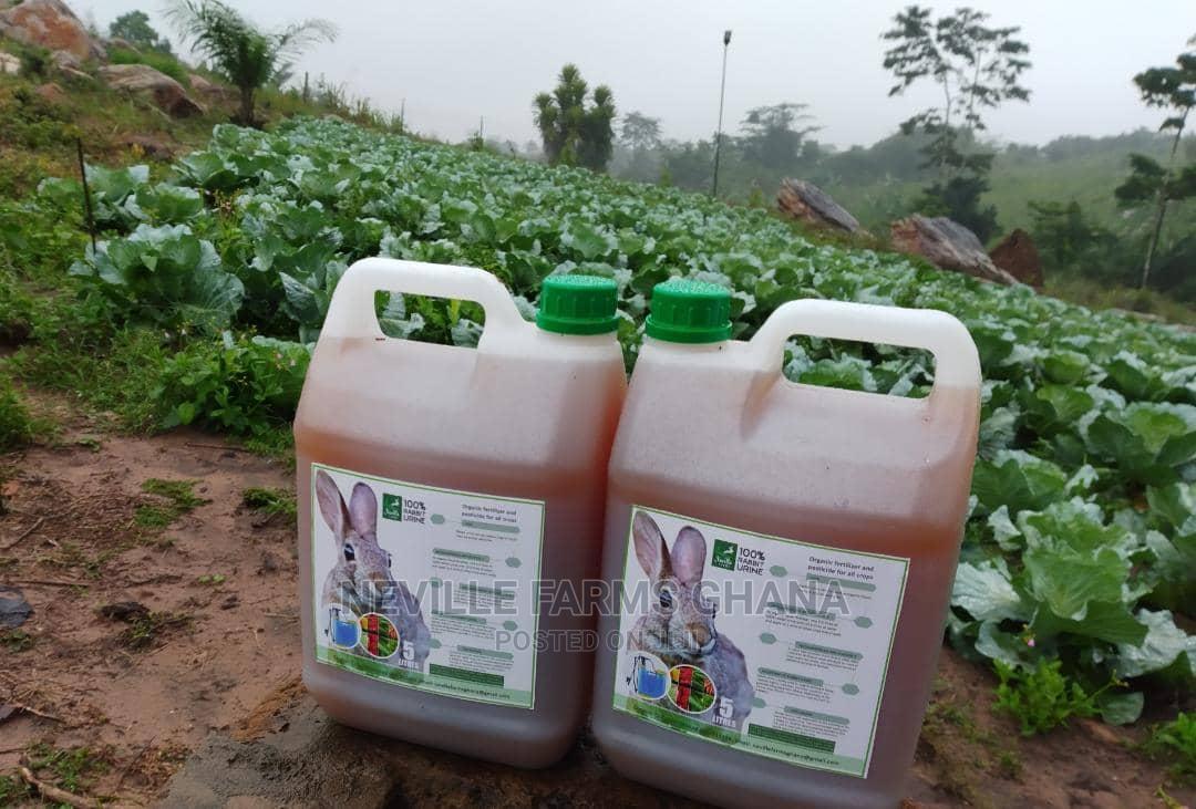 Undiluted Rabbit Urine as Organic Fertilizer/Pesticide in Adenta