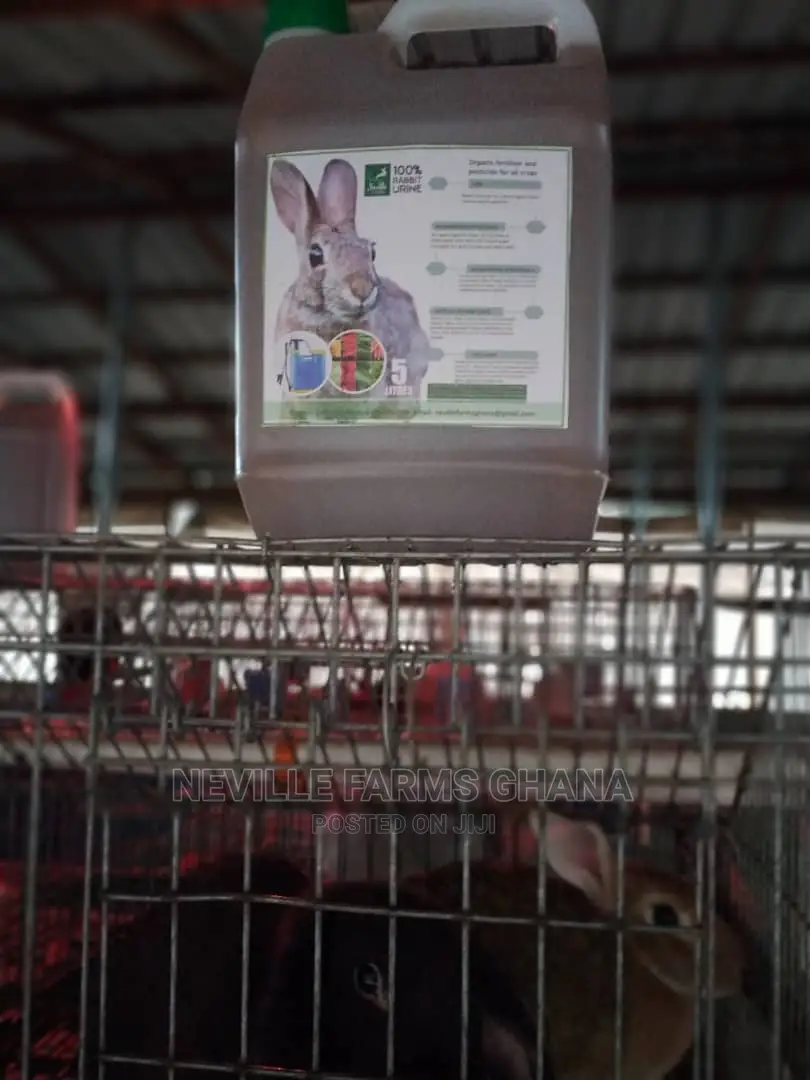 Undiluted Rabbit Urine as Organic Fertilizer/Pesticide in Adenta