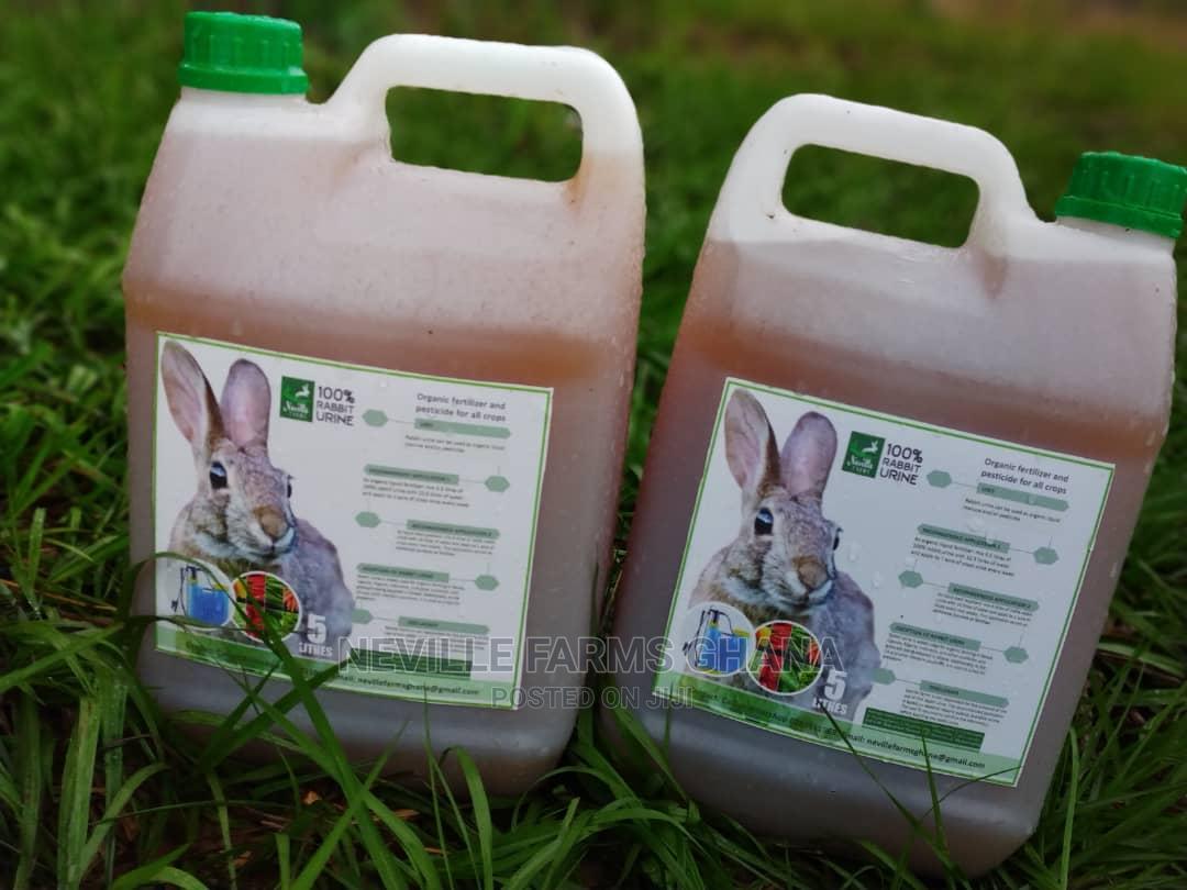 Undiluted Rabbit Urine as Organic Fertilizer/Pesticide in Adenta