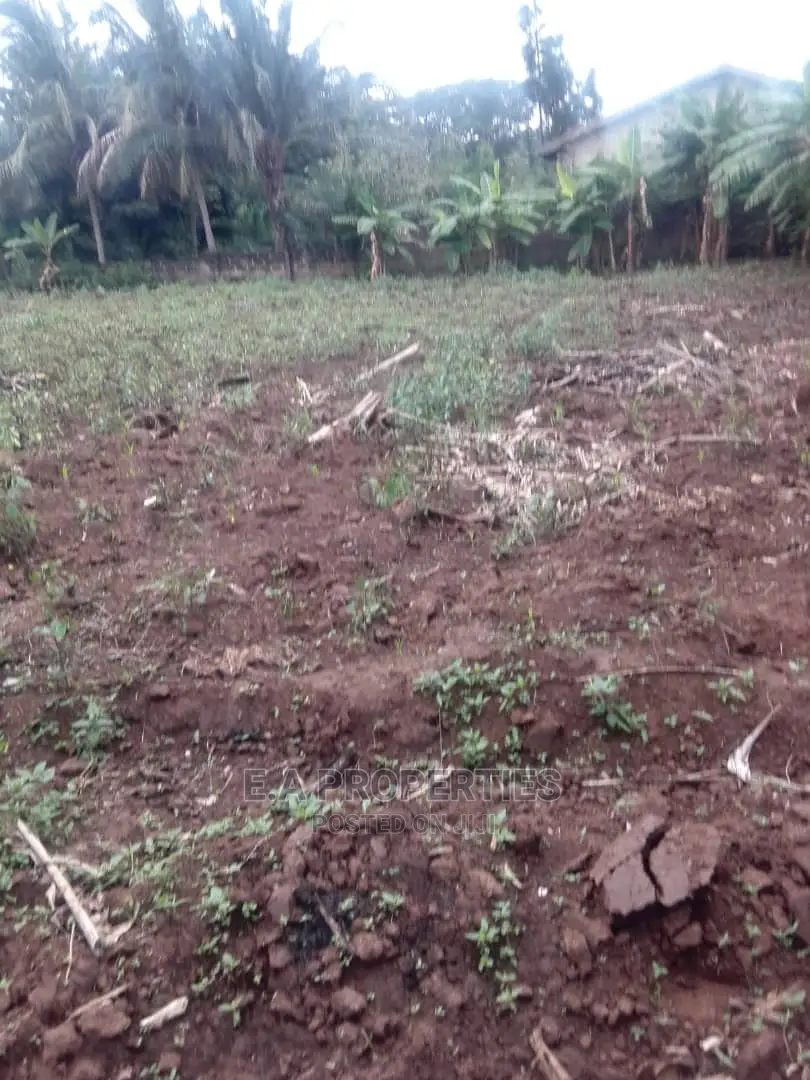 Land at Amanfro in Frafraha Land & Plots for Sale, Enoch Amponsah