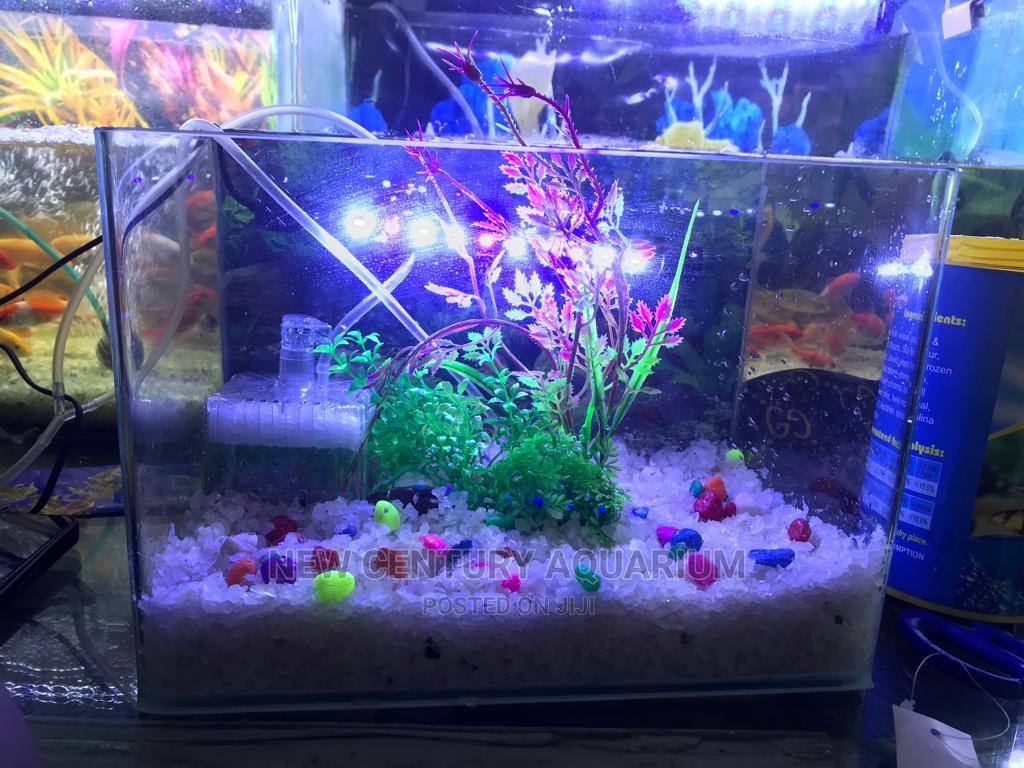 Aquarium Tank Set Up With Everything in East Legon Fish, New Century