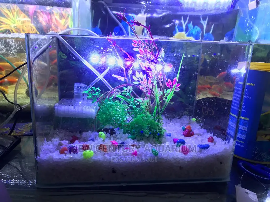 Aquarium Tank Set Up With Everything in East Legon Fish, New Century Aquarium