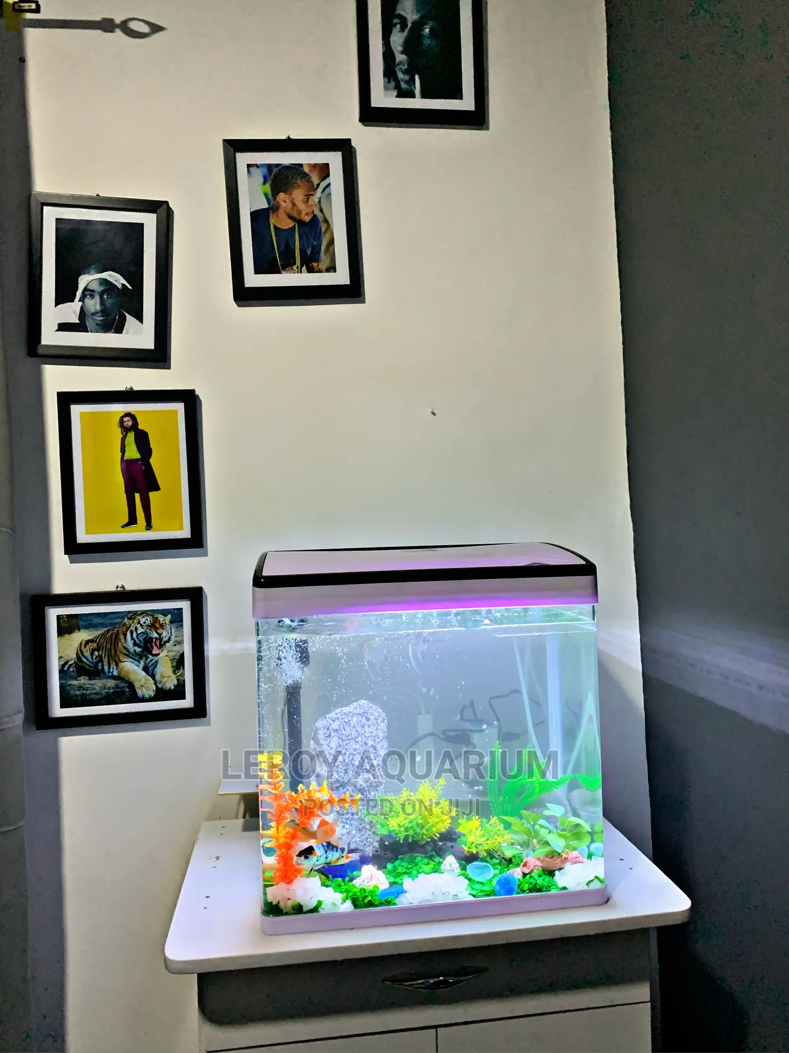Aquarium With a Good Filtration System, 1/6 Feet in Accra Metropolitan