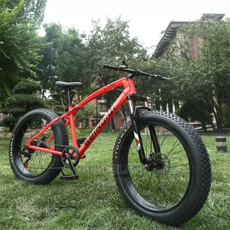 Mountain Bike 4.0 Large Fat Tire Damping Speed Offroad in Accra