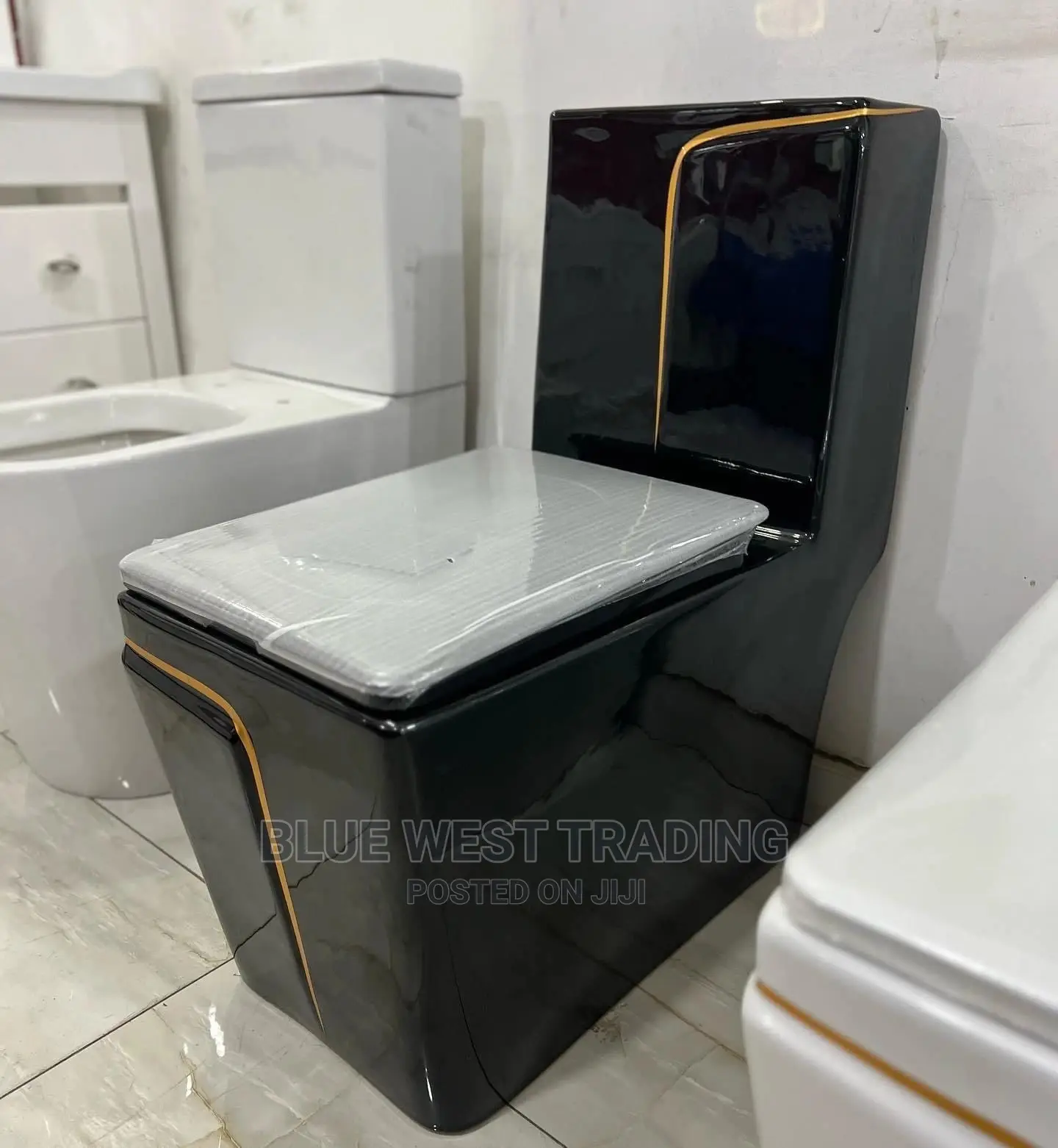 Black and Gold Water Closet in Accra Metropolitan Plumbing & Water