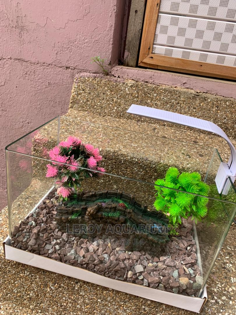 1.10ft Aquarium in Kumasi Metropolitan Fish, Leroy Aquarium