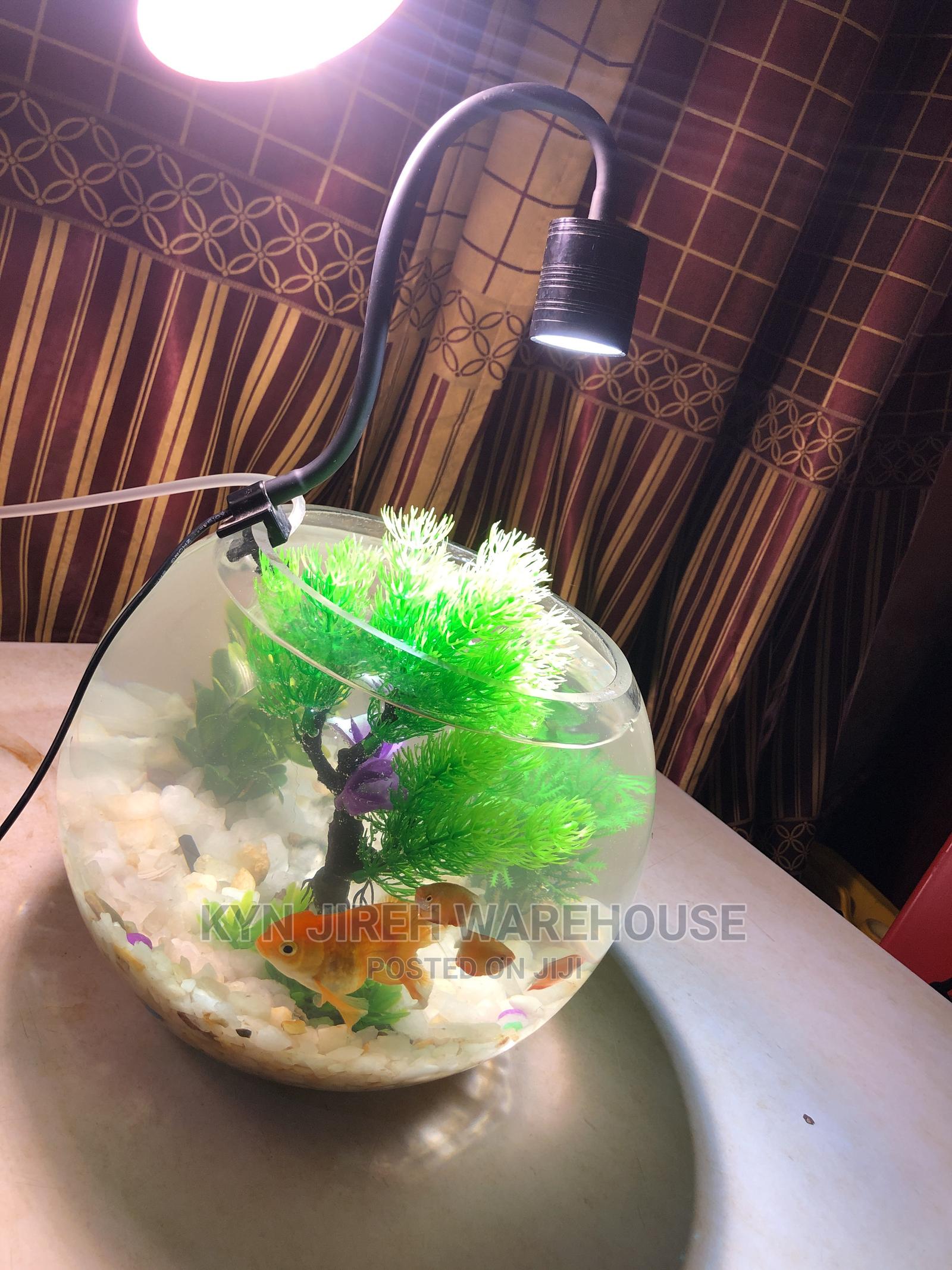 Fish Bowl Aquarium With 3 Fishes in Spintex Fish, Kyn Jerieh