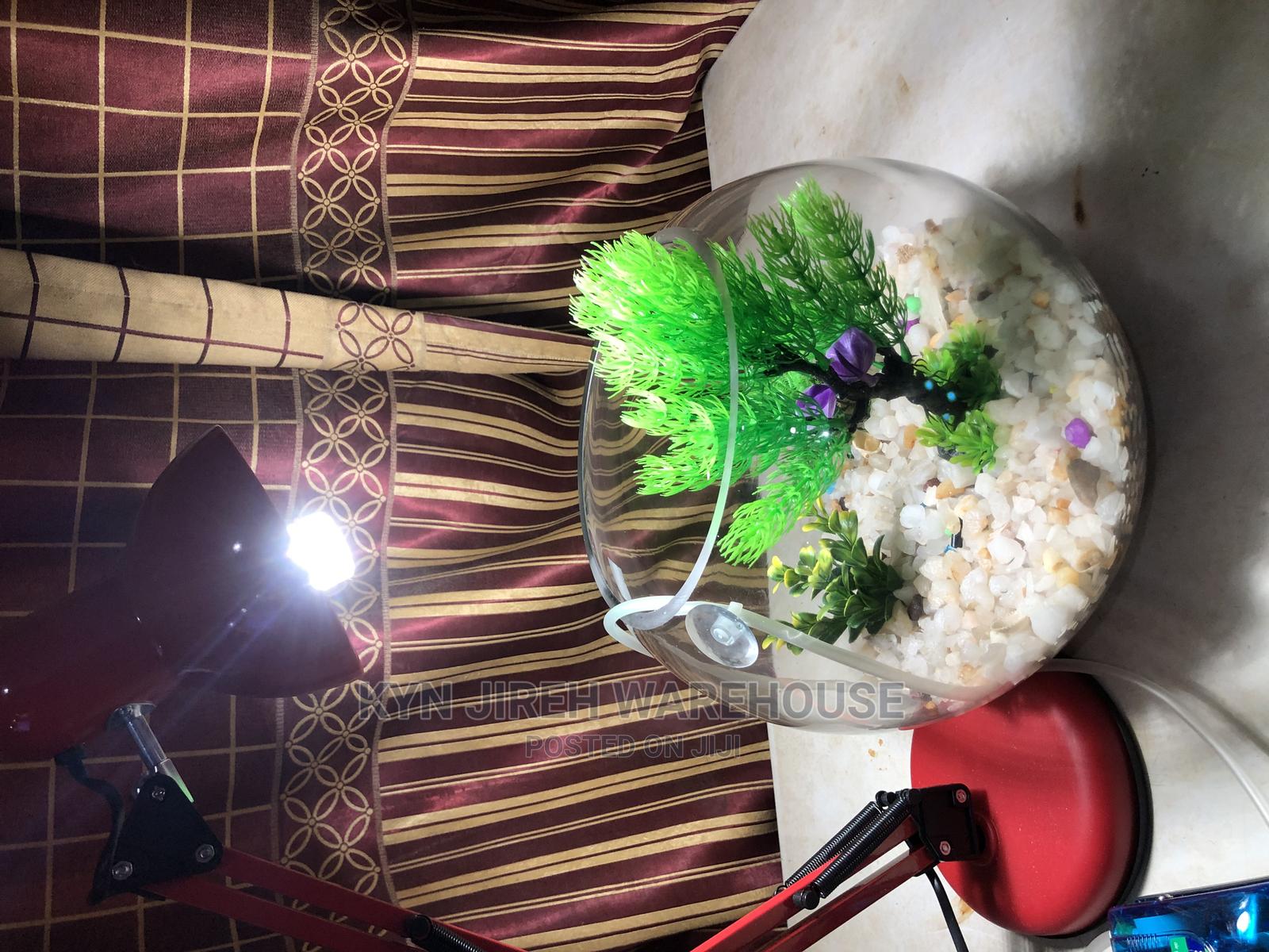 Fish Bowl Aquarium With 3 Fishes in Spintex Fish, Kyn Jerieh