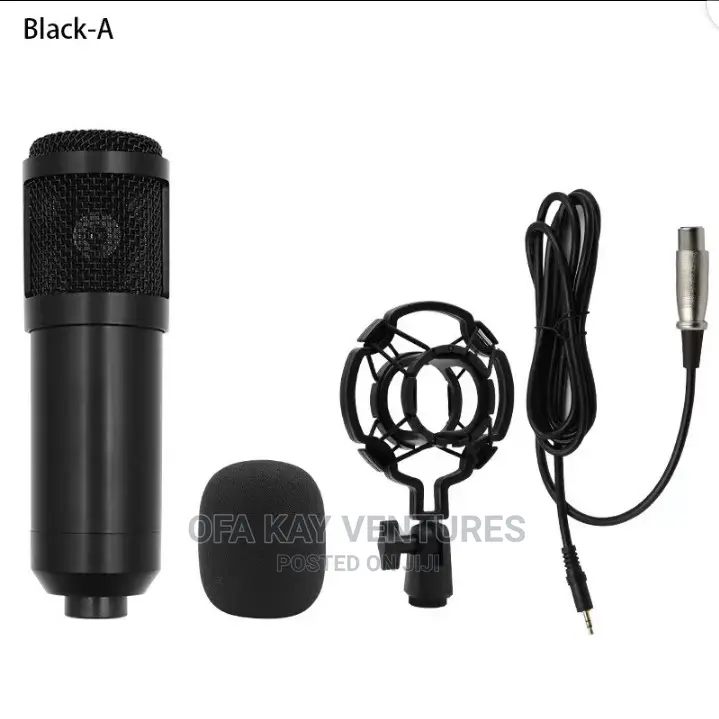 BM 800 Professional Microphone Condenser Mic V8 V9 V10 in Spintex