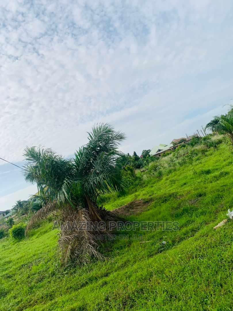 31 Acres of Land at Ayi Mensah in Abokobi Land & Plots for Sale