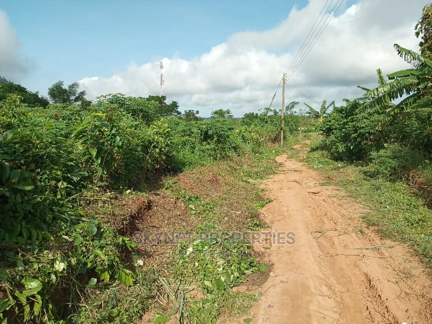 Genuine Farmland for Sale at Adukrom in Akuapim South Land & Plots