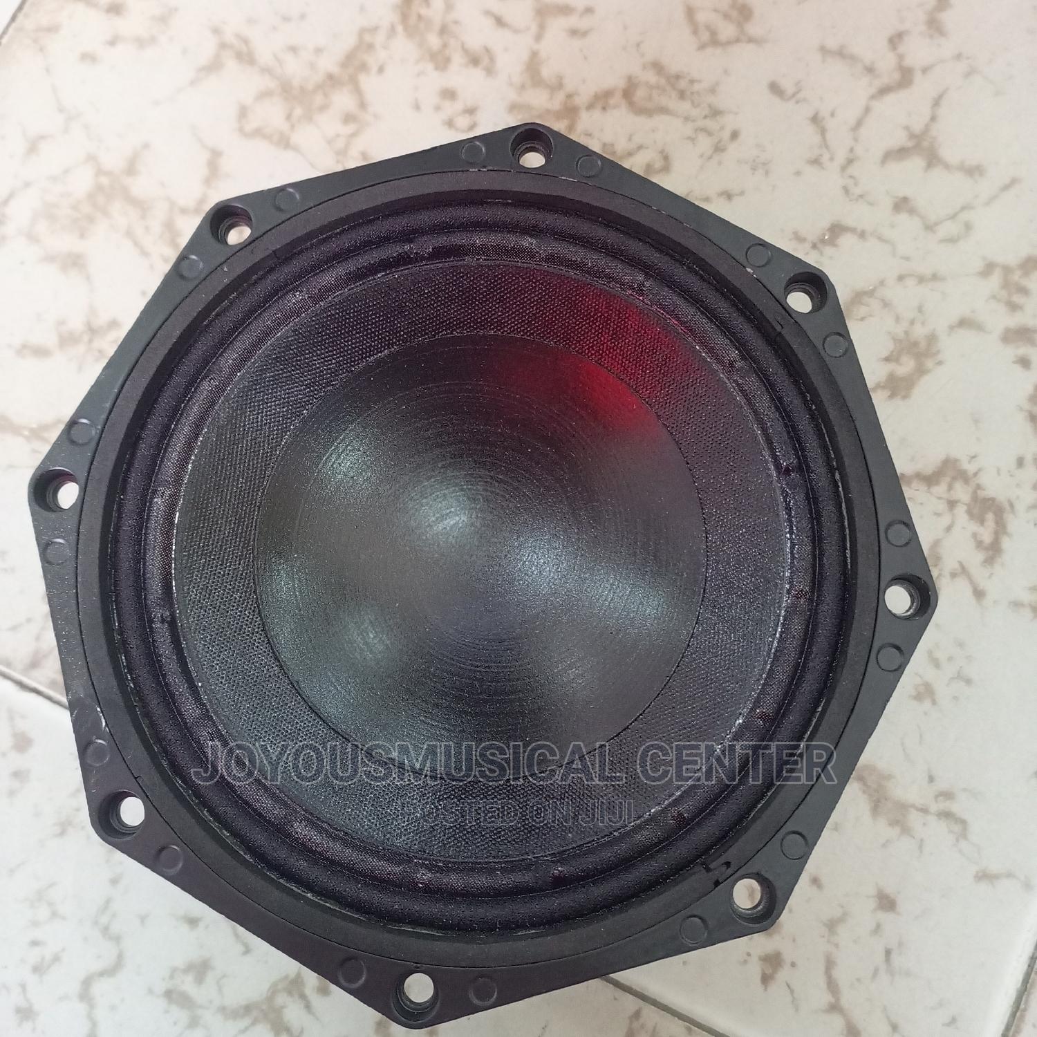 8" RMW Naked Speaker for Arrays in Accra Metropolitan Audio & Music