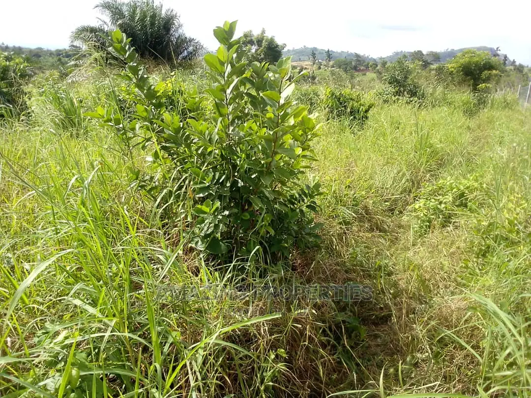 10 Acres Of Industrial Land For Sale At Nsawam in Accra Metropolitan