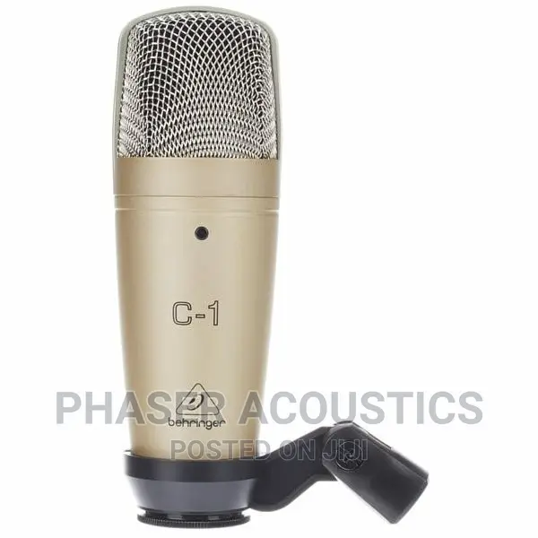 Behringer C1 Studio Condenser Microphone in Lapaz Audio & Music