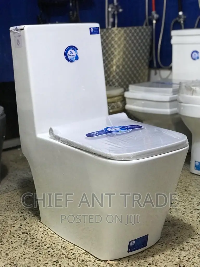 Toilet Seat / Water Closet . One Piece in Achimota Plumbing & Water